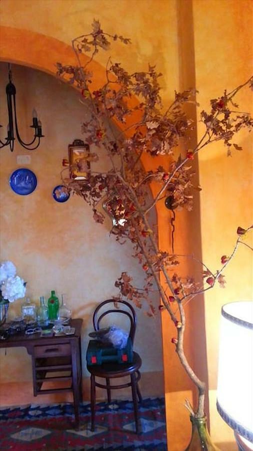 فيلا Casa Benoi Rigomagno المظهر الخارجي الصورة